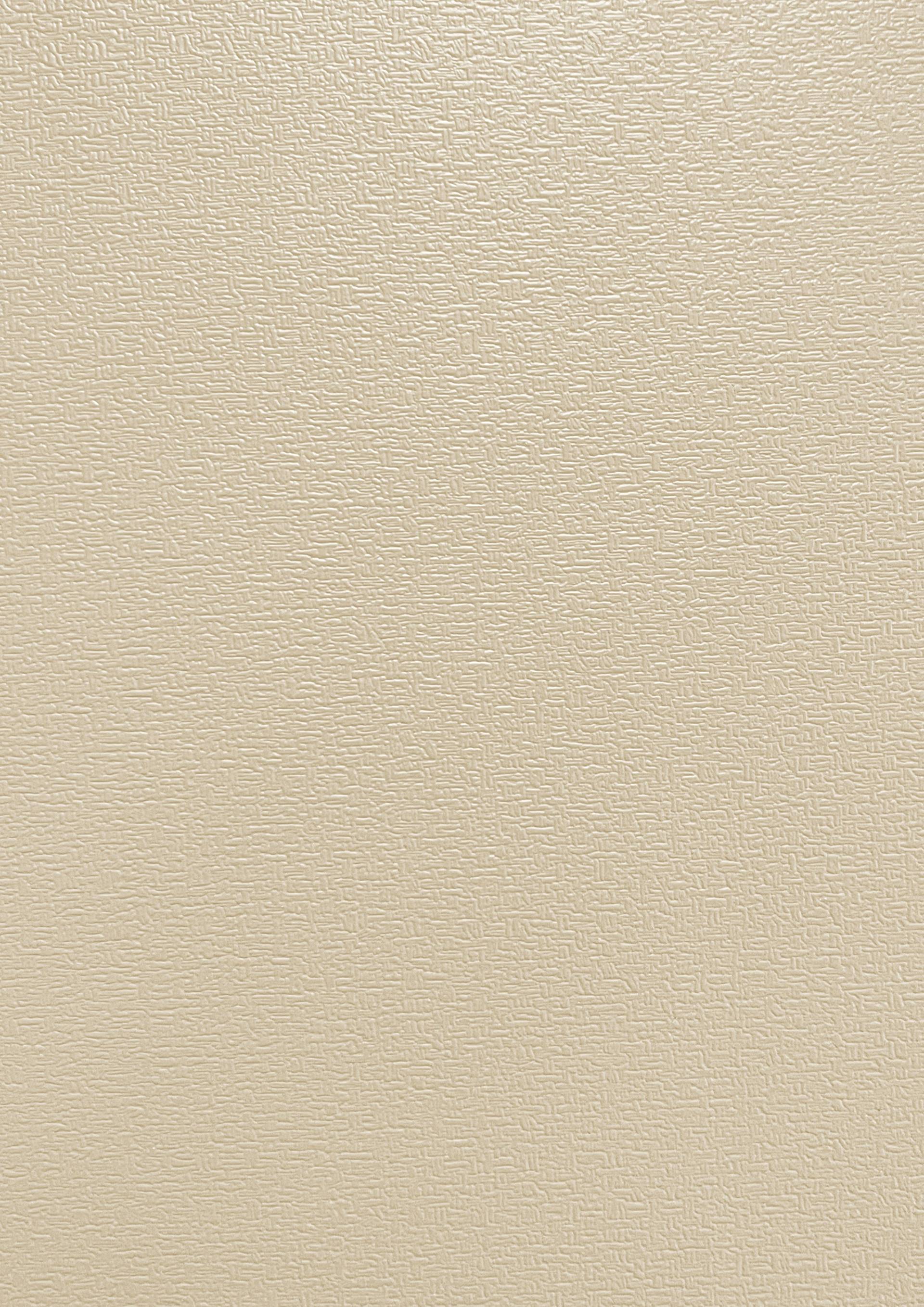 beepan f24305